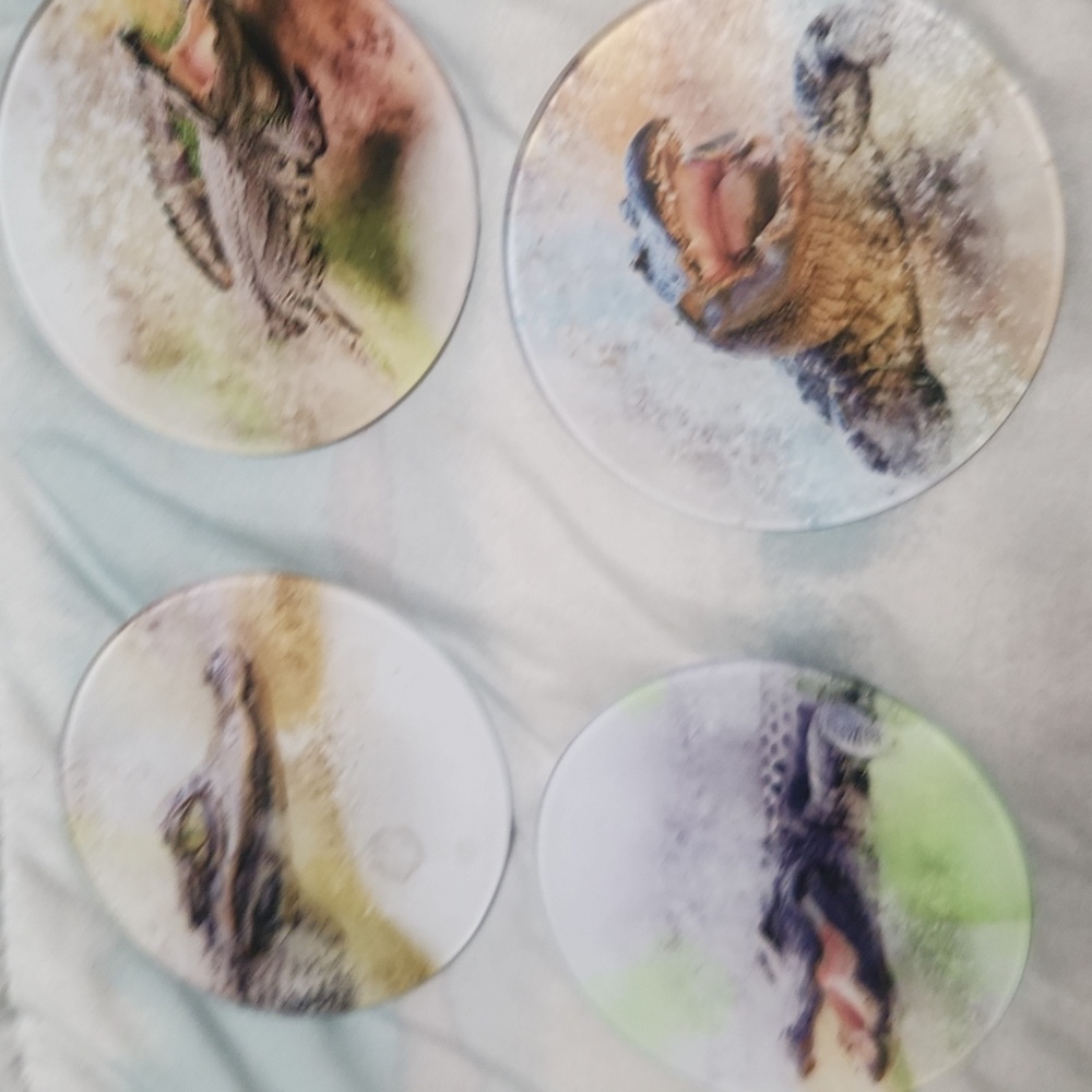 Set of Alligator Coasters